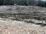 This will be remembered as the QUAGMIRE contest.  The road in (and much of the field) was soup from recent rains.  The landfill was particularly odorous as well!